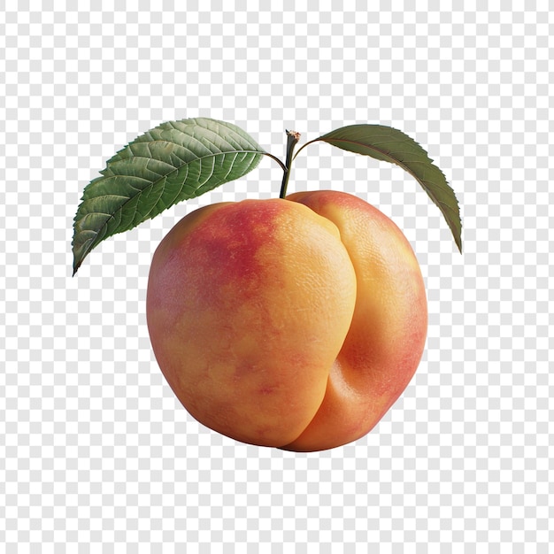 PSD a single peach with green leaves