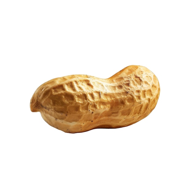 PSD a single peanut in its shell