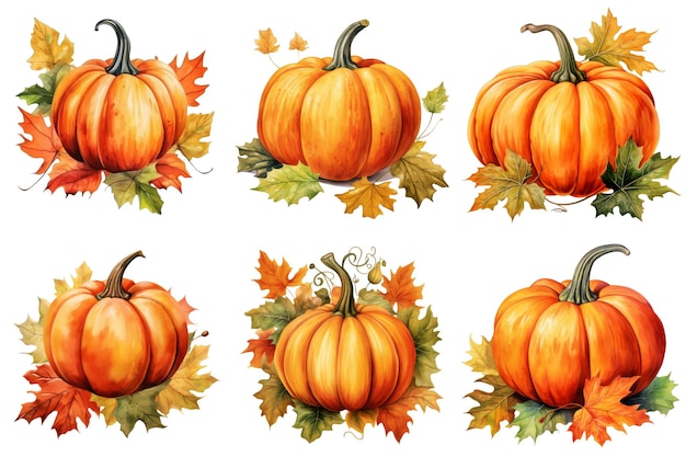 Six Pumpkins Surrounded by Fall Foliage