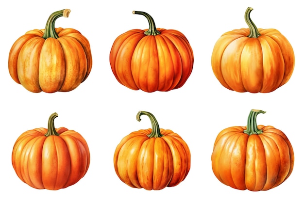 Six Ripe Pumpkins Arranged in Two Rows