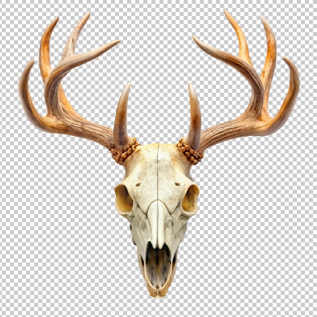 PSD skull deer