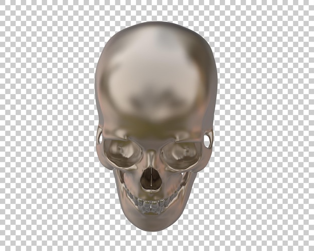 PSD skull isolated on background 3d rendering illustration