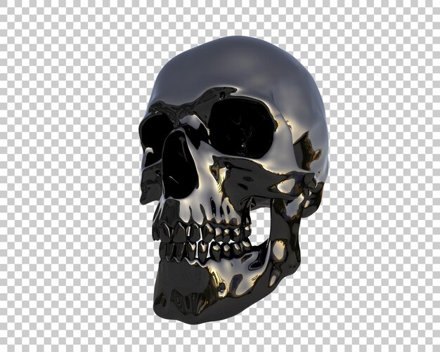 Skull isolated on background 3d rendering illustration