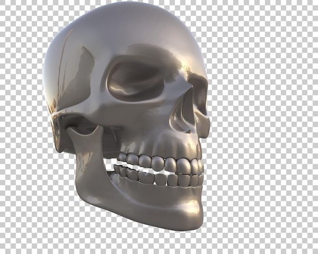 Skull isolated on background 3d rendering illustration