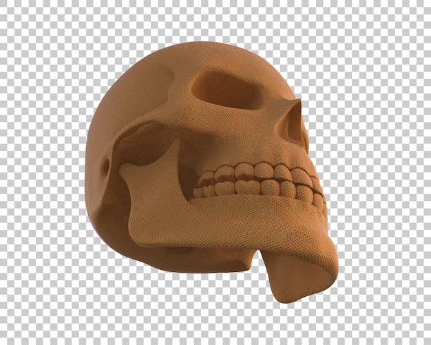 Skull isolated on background 3d rendering illustration