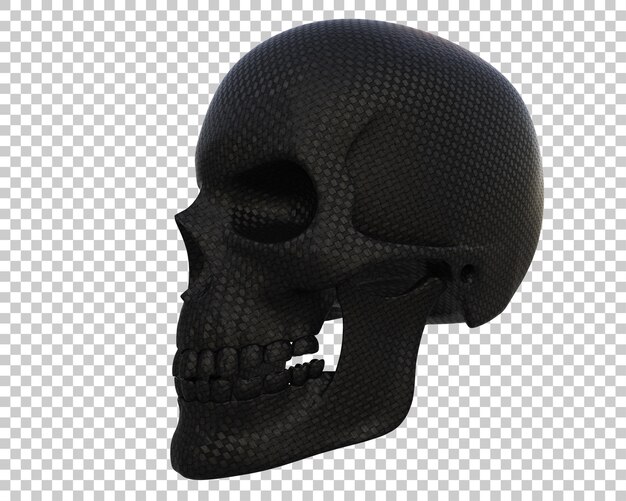 Skull isolated on background 3d rendering illustration