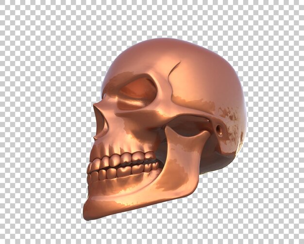 Skull isolated on background 3d rendering illustration