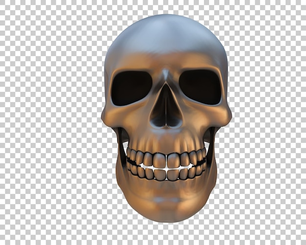 Skull isolated on background 3d rendering illustration