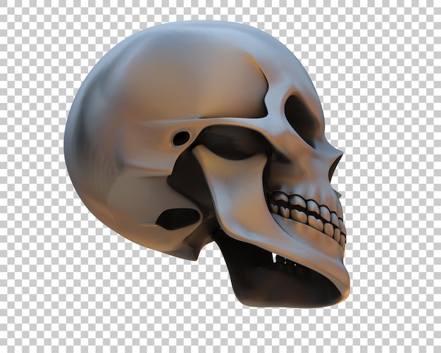 PSD skull isolated on background 3d rendering illustration