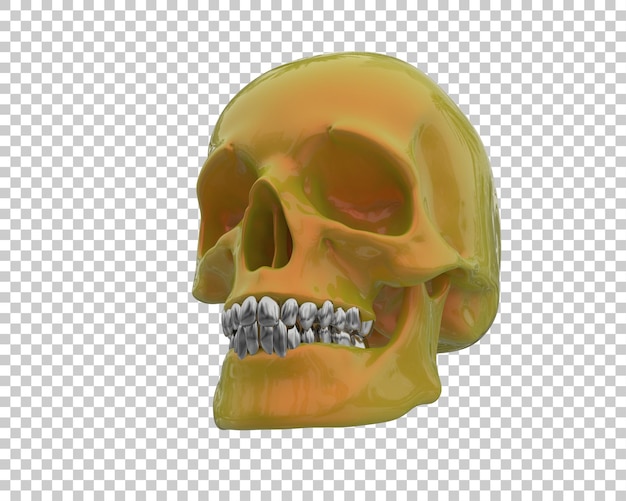 Skull isolated on background 3d rendering illustration