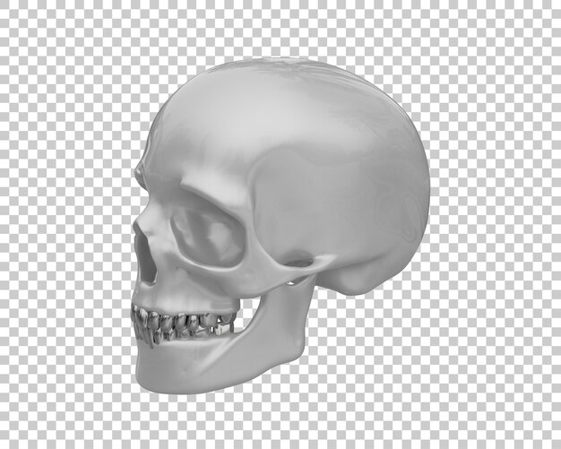 PSD skull isolated on background 3d rendering illustration