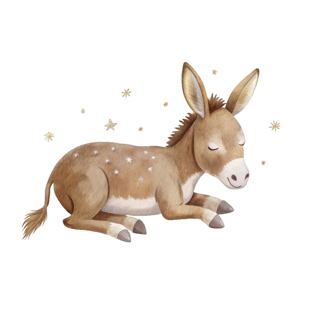 Sleeping donkey watercolor isolated clipart childrens clothing pattern and textile