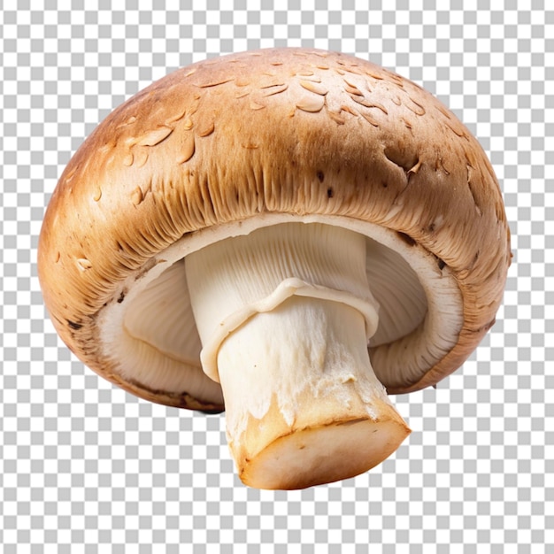 slice mushroom Transparent background