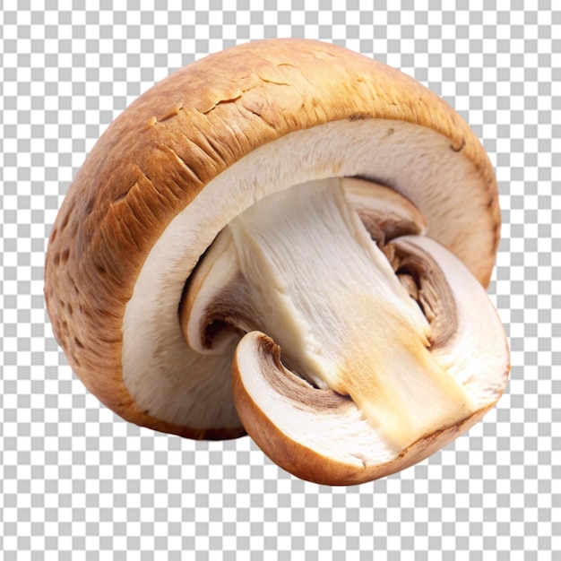 slice mushroom Transparent background