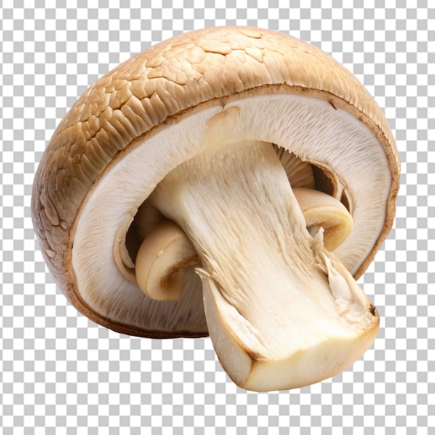 slice mushroom Transparent background