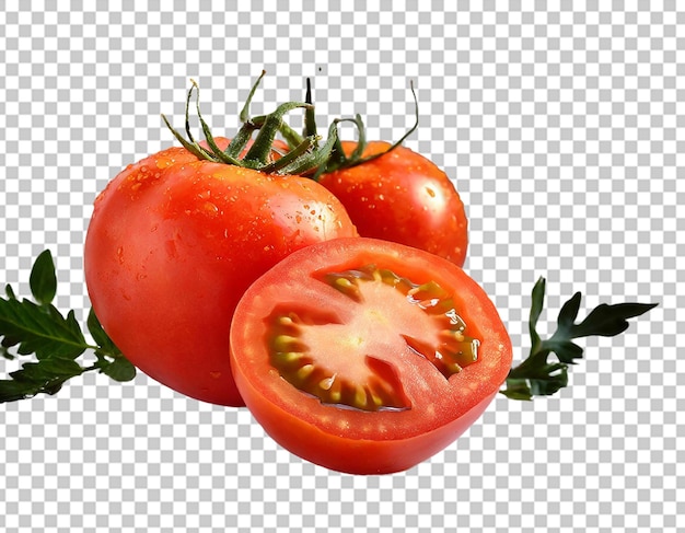 slice of tomato