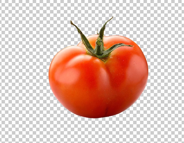 slice of tomato