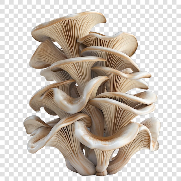 PSD sliced mushroom realistic