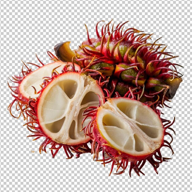 PSD sliced rambutan revealing the white juicy flesh isolated