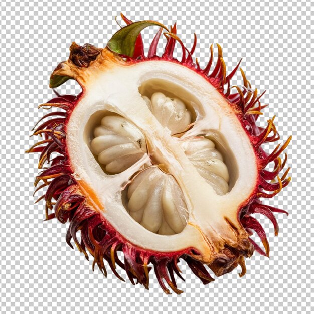 PSD sliced rambutan revealing the white juicy flesh isolated