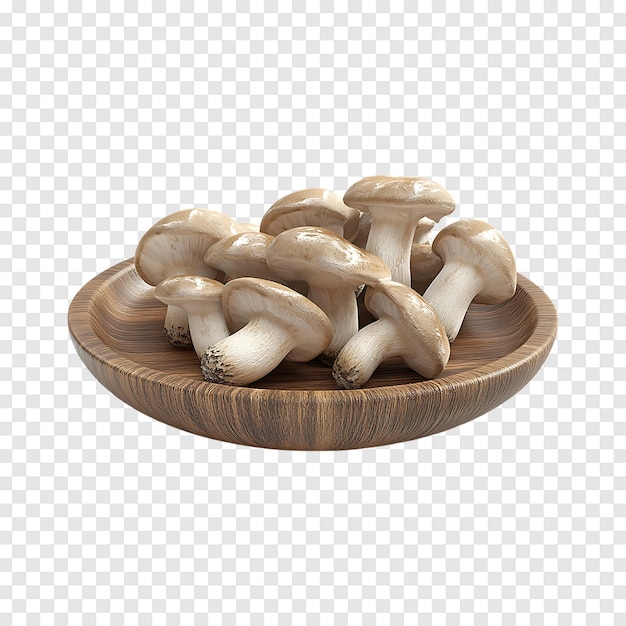 Slippery Jack Mushrooms isolated on a transparent background