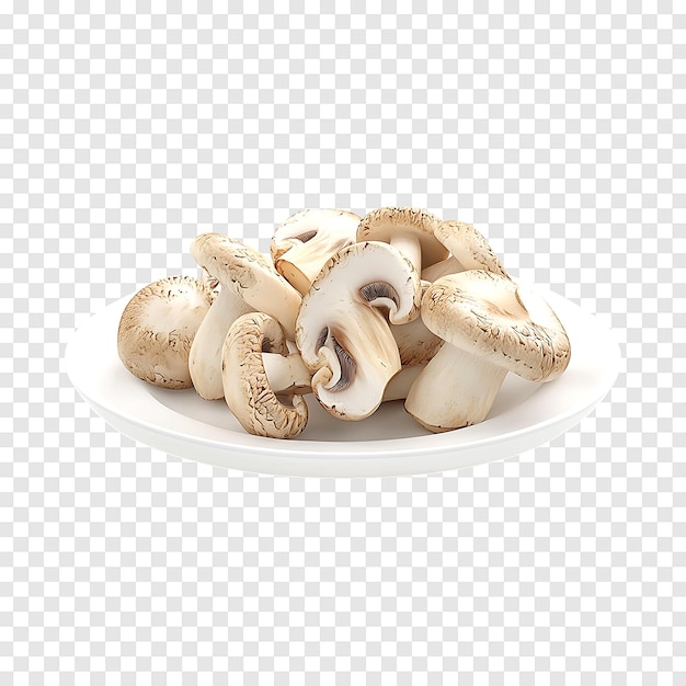 Slippery Jack Mushrooms isolated on a transparent background