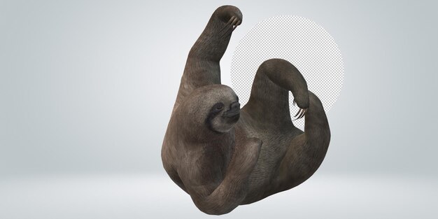 PSD sloth isolated on a transparent background