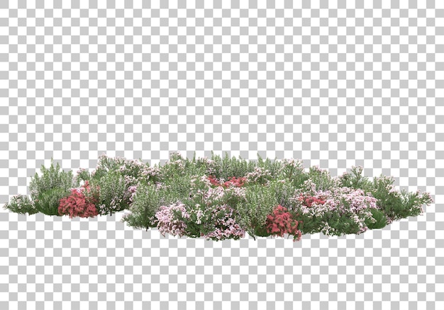 Small green bushes on transparent background 3d rendering illustration