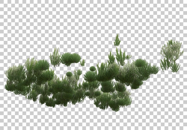 Small green bushes on transparent background 3d rendering illustration