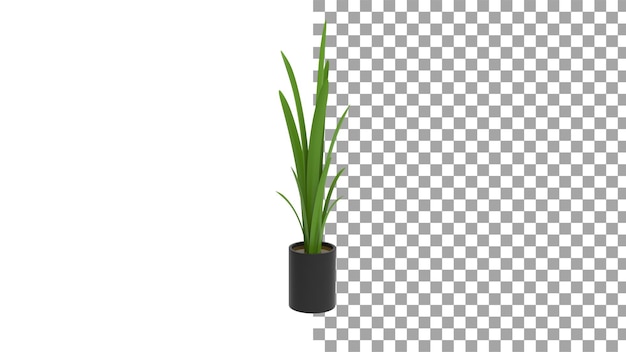 Snake plant with pot without shadow 3d render