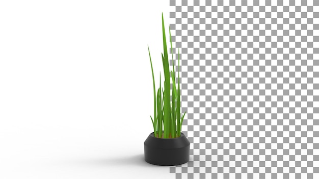 SNAKE plant with shadow 3d render