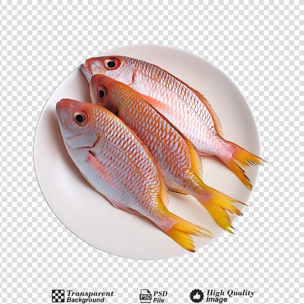 PSD snapper isolated on transparent background