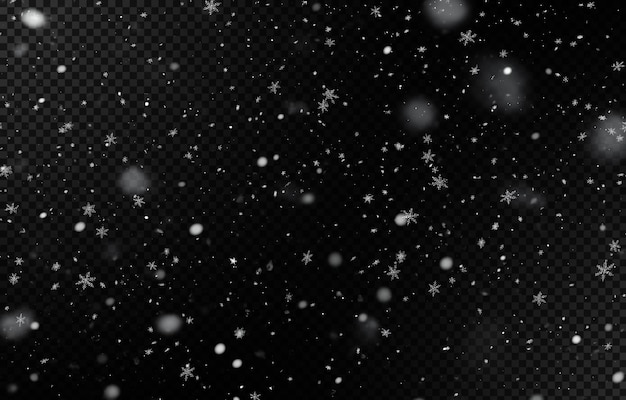 PSD snowflakes on a black background free download