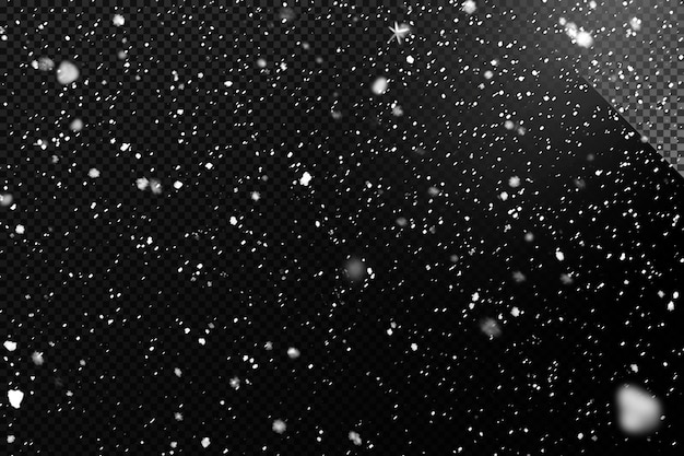 snowflakes particles on transparent background