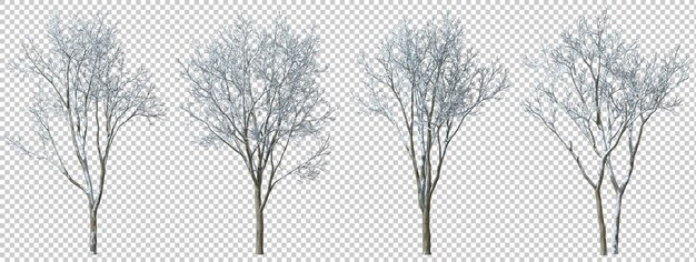 PSD snowy jungle trees cut out backgrounds 3d rendering