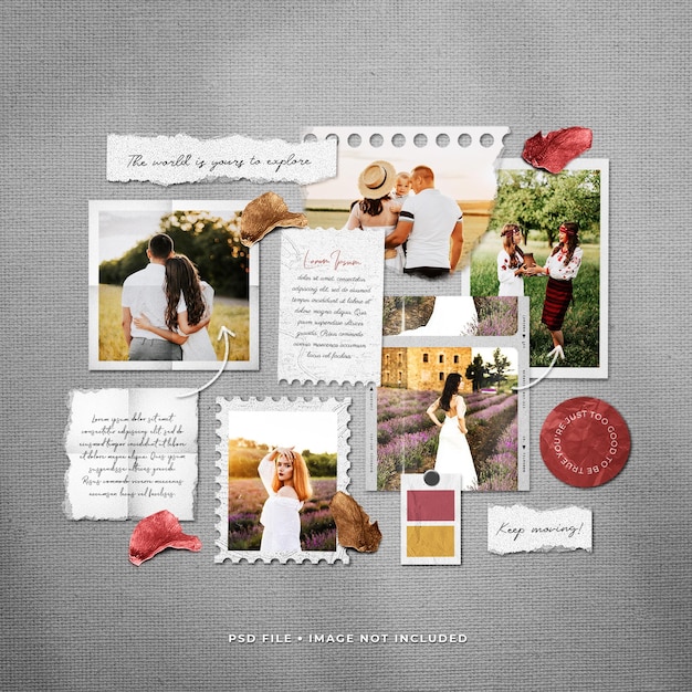 Social Media Post Photo Frame Moodboard