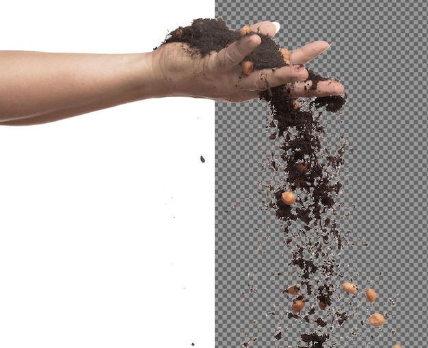 PSD soil dirt peanut bean mix fall from hand peanut bean soil fertilizer abstract cloud fly soil mix peanut beans planting splash stop in air white background isolated high speed freeze motion