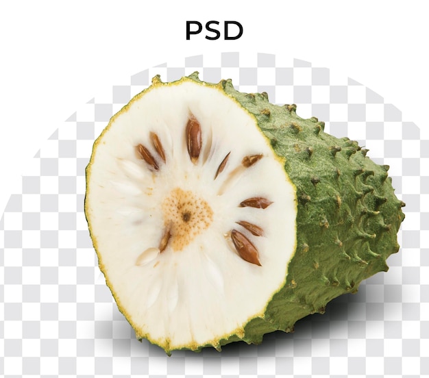 Sour sop Prickly Custard Apple Annona muricata L Treatment of cancer