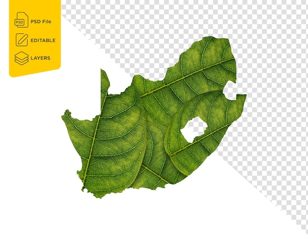 South Africa Map Made Of Green Leaves On White Background Ecology Concept 3d Illustration