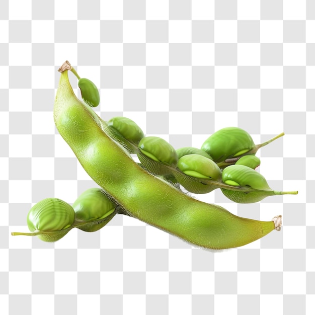 PSD soy beans on white background render ultra realistic