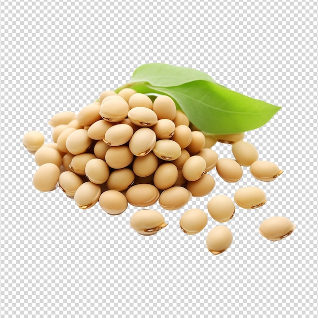 Soya beans isolated on transparent background