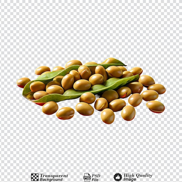 soybeans isolated on transparent background