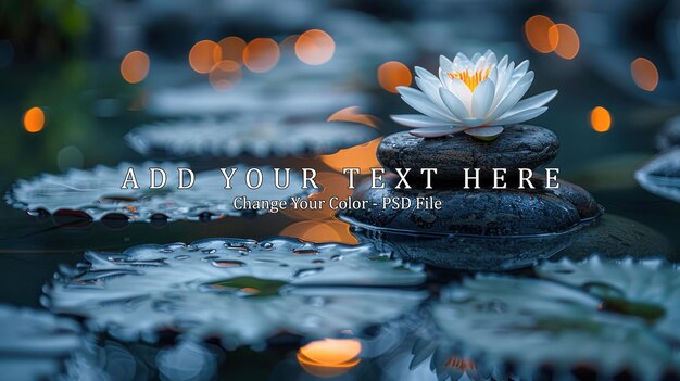 Spa still life with water lily and zen stone in a serenity pool