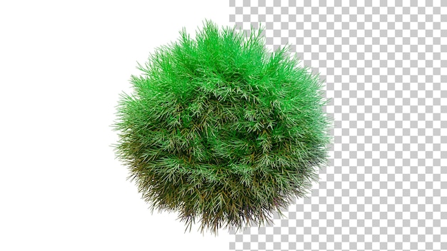 Sphere covered with fir branches 3d render Ball of Christmas tree branches design element