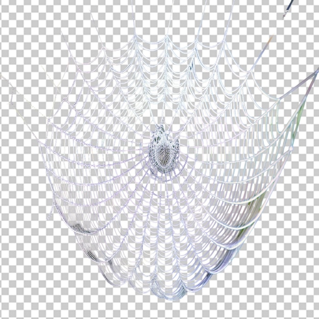 PSD spider web white on transparent background