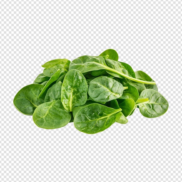 Spinach isolated on transparent background cut out