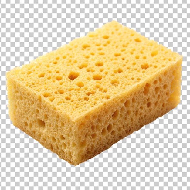 sponge Transparent background