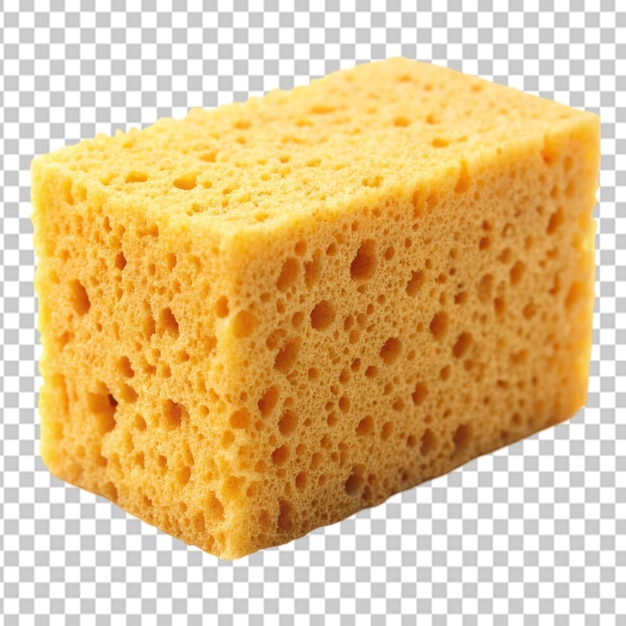 sponge Transparent background