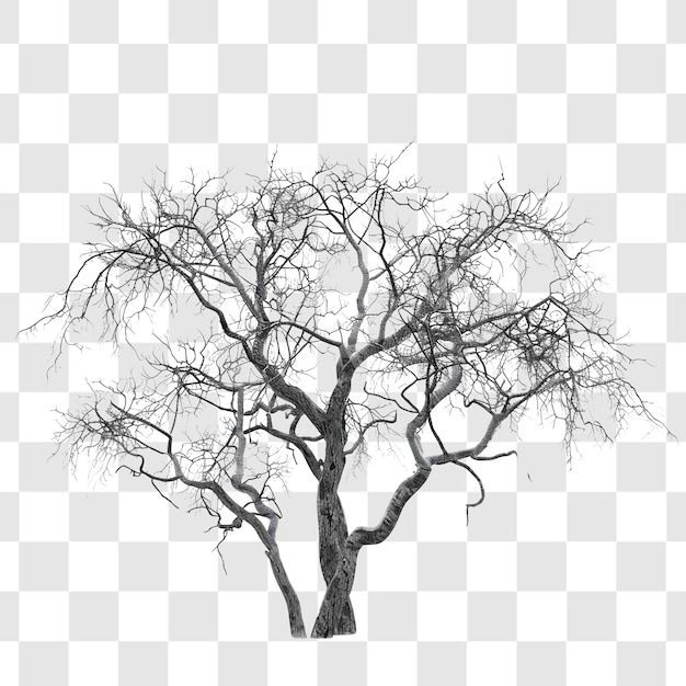 spooky trees on white background render ultra realistic