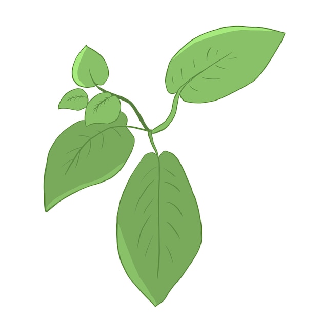 Sprout with large and small leaves flat style illustration